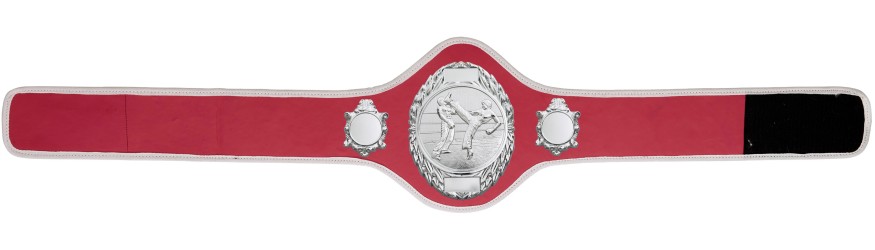 KICKBOXING CHAMPIONSHIP BELT-PRO286/S/KBOS-10+ COLOURS